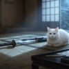 Thumbnail of post image 064